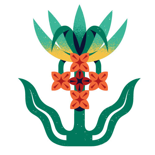 Chamaki e Ilustración Tradicional